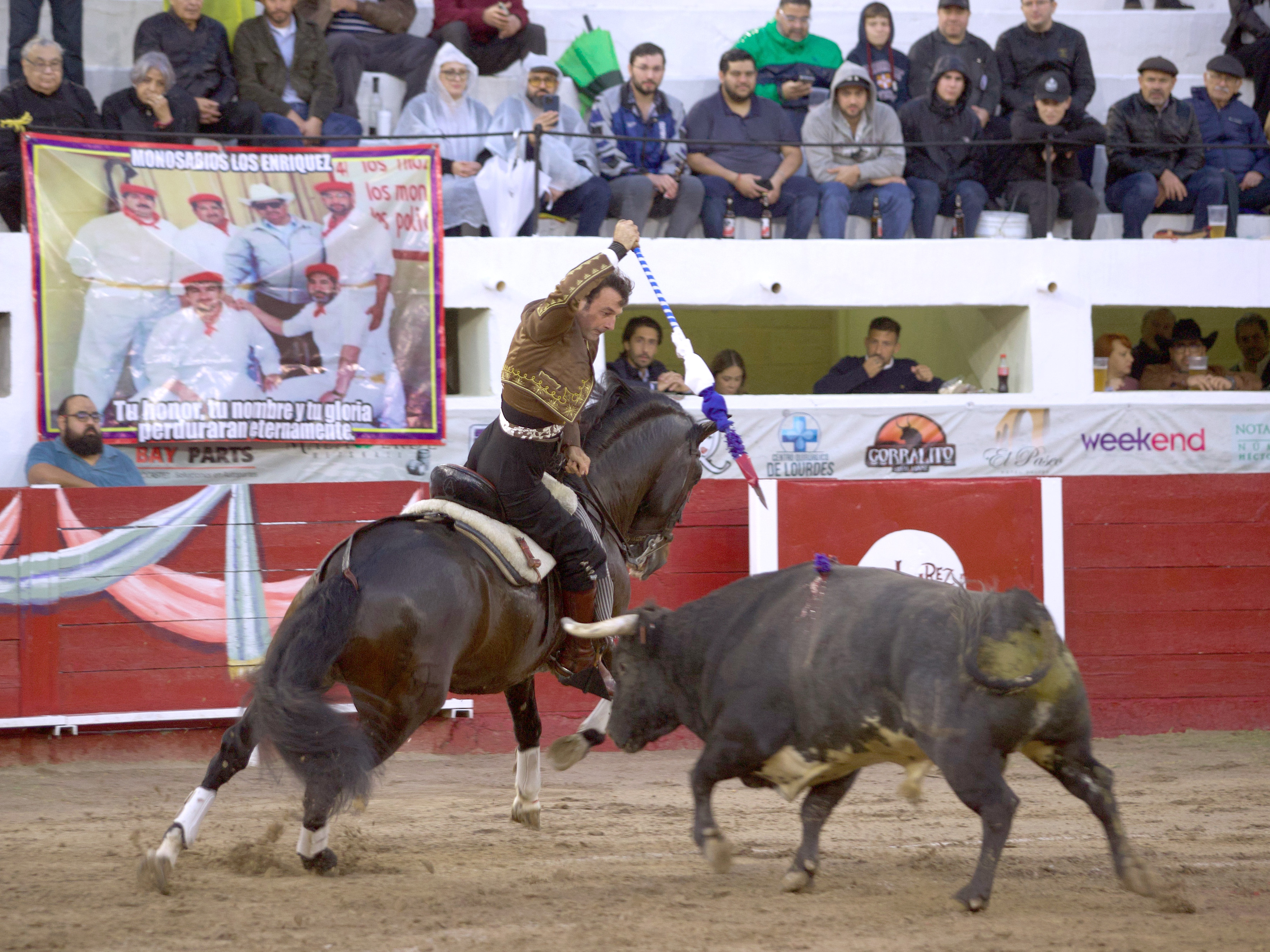 Andy abre la goyesca