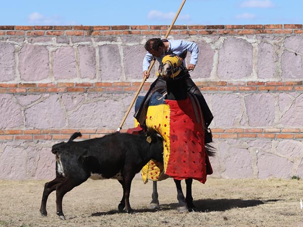 La pelea en el peto