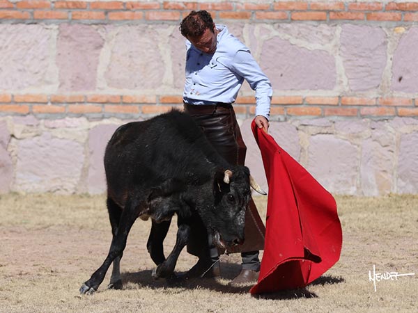 Templando la negra