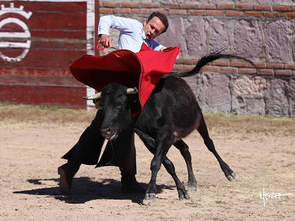 Abrochando la tanda de pecho