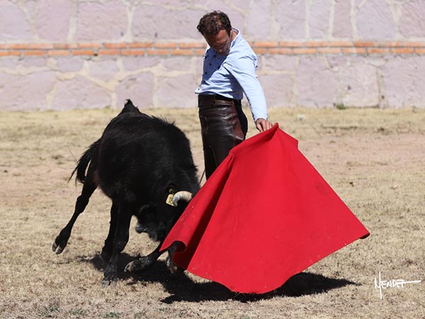 En el campo bravo hidroclido