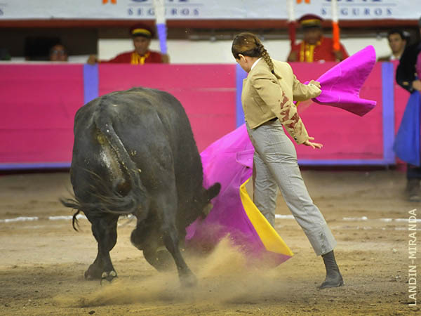 Lances en el gusto del tendido