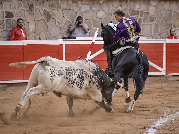 Piruetas y toreo de costado