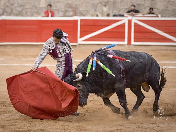 Tirando del ejemplar