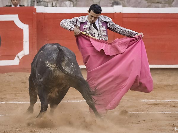 Ajustadas chicuelinas