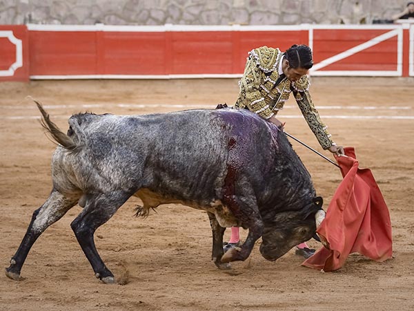 Los ayudados de Sergio