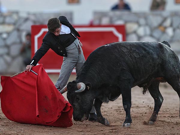 Encuentro con el toro mexicano