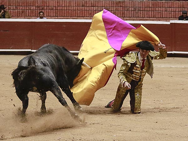 Dispuesto a llevarse la tarde