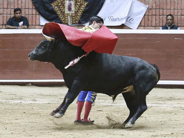 Adornos de final de faena