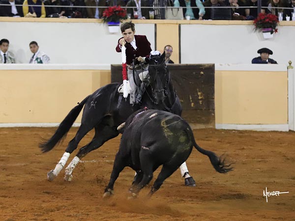 Jinete y caballo toreros