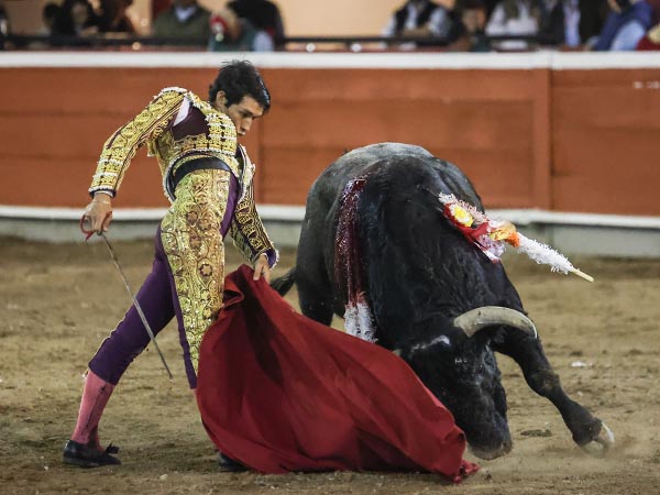 Adornos de muleta