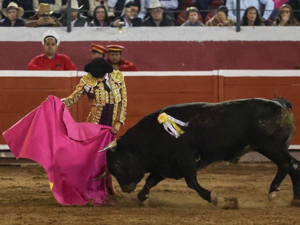 Saludo a la vernica