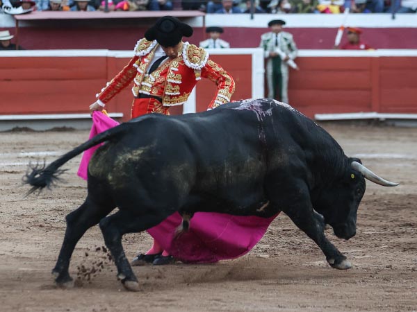 Chicuelinas de San Romn