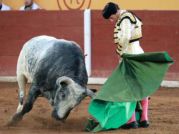 Ferrera rematando