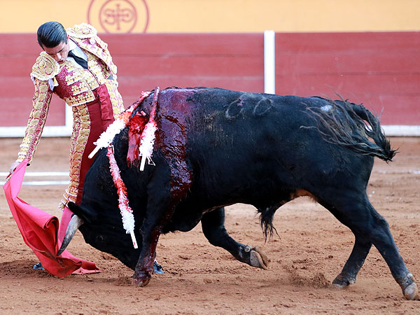 Calidad en la embestida