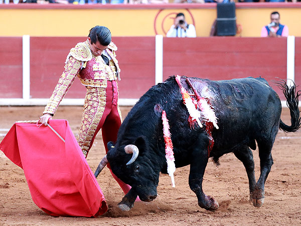 Firme y torero