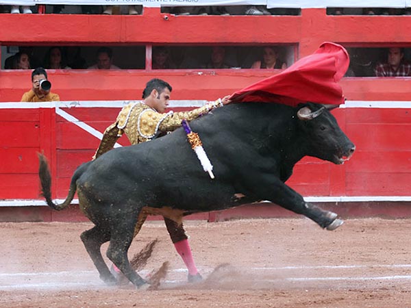 Barriendo los lomos