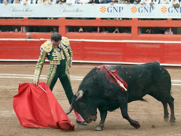 Plantado en la arena