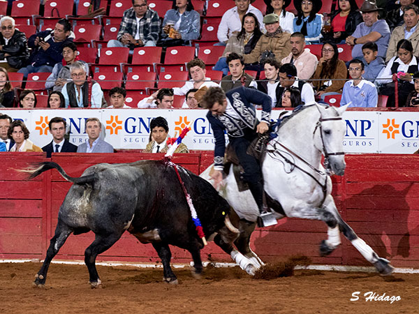 Ceimiento y torera