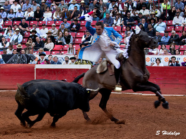 En los terrenos del toro