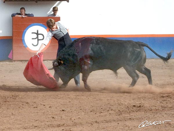 Templadas tandas por el derecho