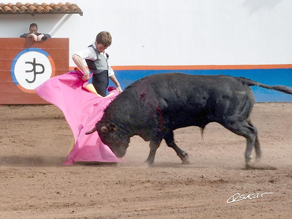 Chicuelinas con sello espartino