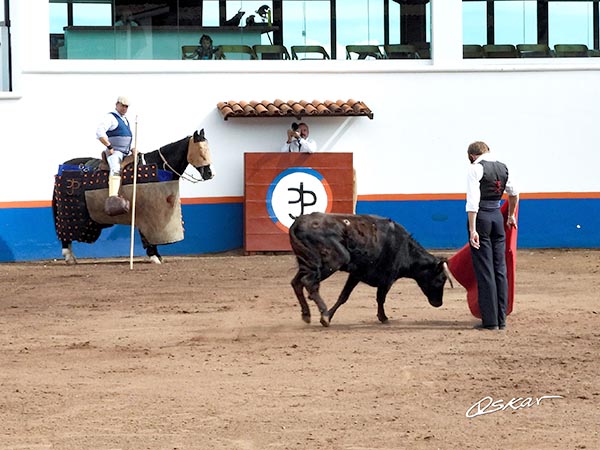 Verticalidad hispana