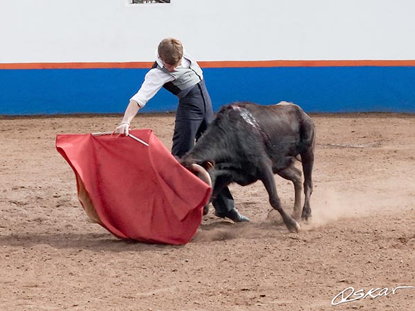 Arqueando el brazo