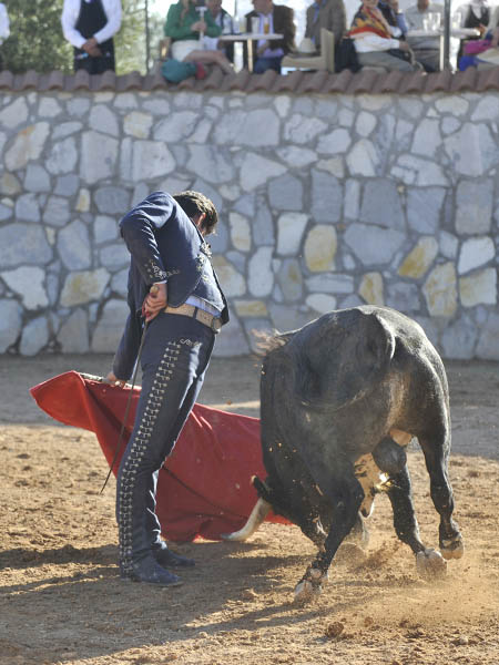 Metiendo la cara abajo