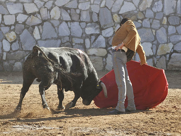 Calidad en la embestida