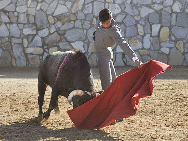 Tirando del crdeno