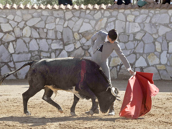 Miradas de codicia