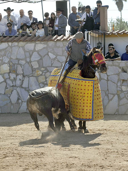 Prendido del morrillo