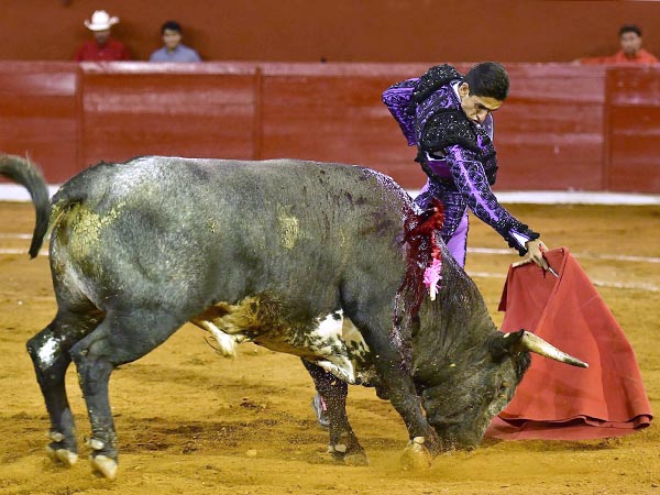 Los belfos en la arena