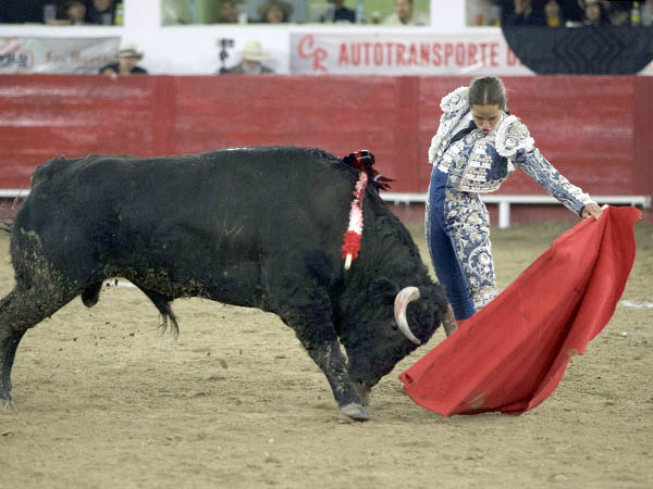 Setimiento torero