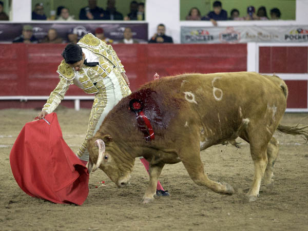 Emotivas faenas de Sergio