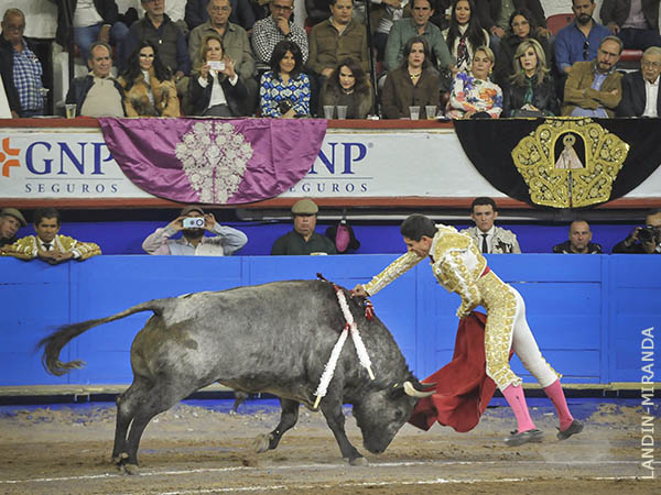 Se fue como un len, tras el acero