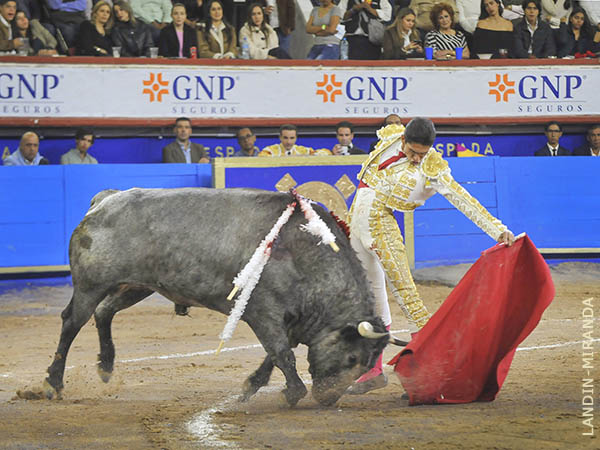 Pudo mostrar la madurez en su toreo