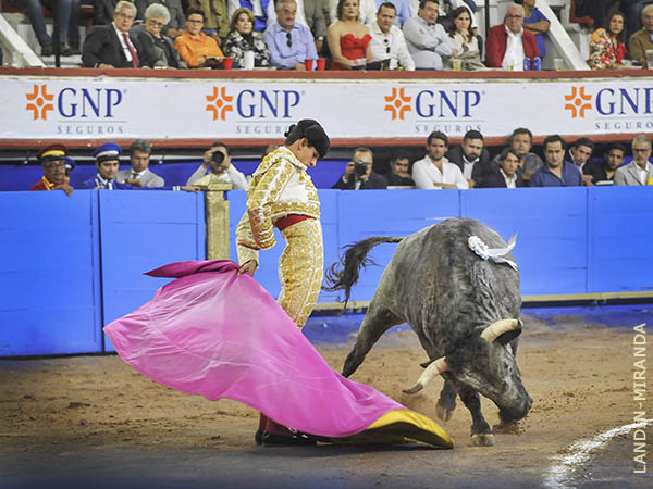 Jaleado en el primer tercio