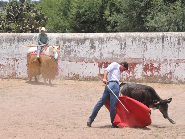 Ayudado por bajo de Zavala