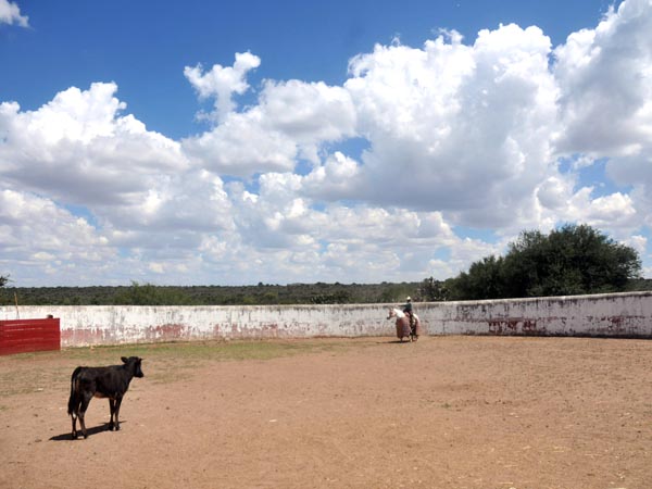 Hermosa panormica