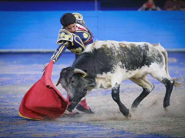 Trazo largo al berrendo