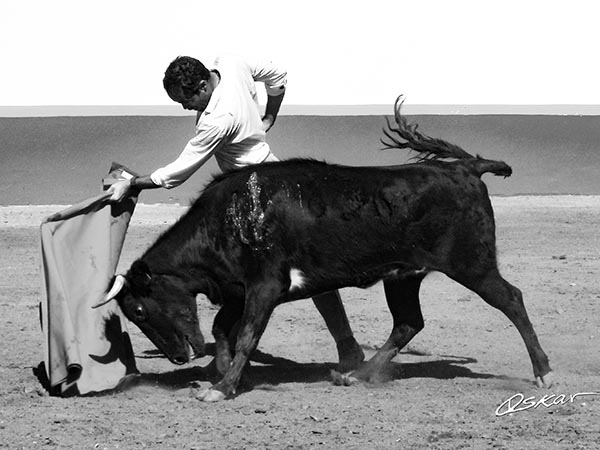 Se prepara en el campo para el compromiso