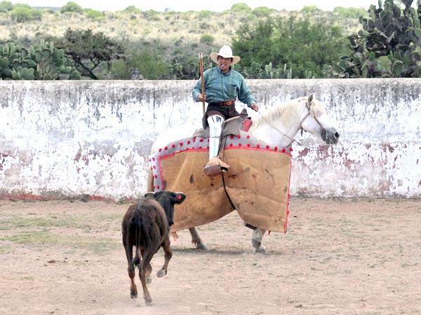 Arrancndose de largo al caballo