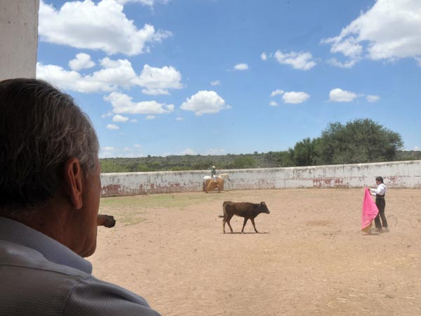 El ganadero en su palco