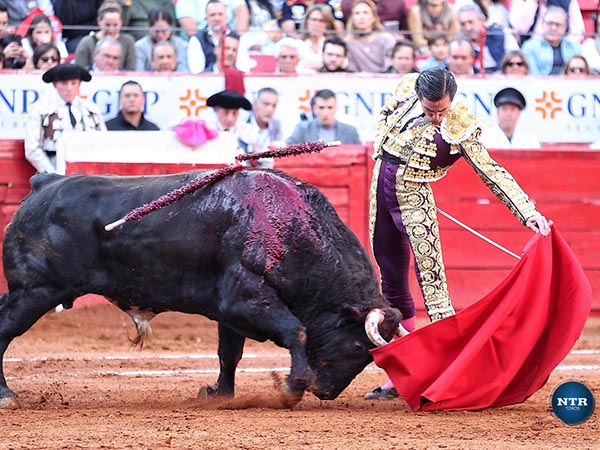 Humillado a las telas del sevillano