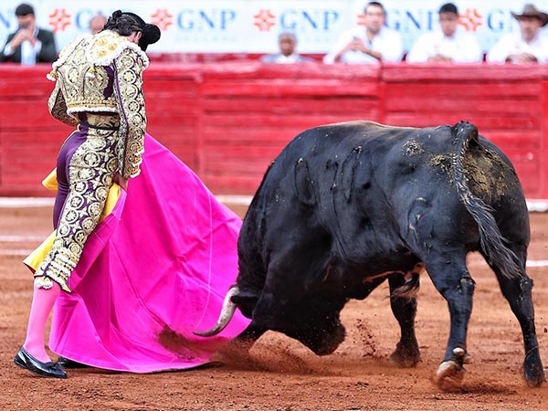 Juan inicia el festejo