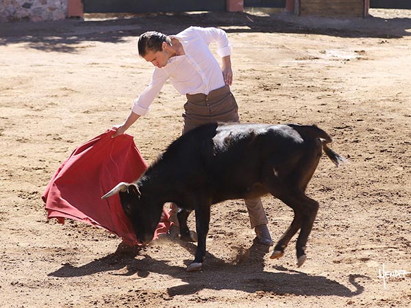 Rematando la faena