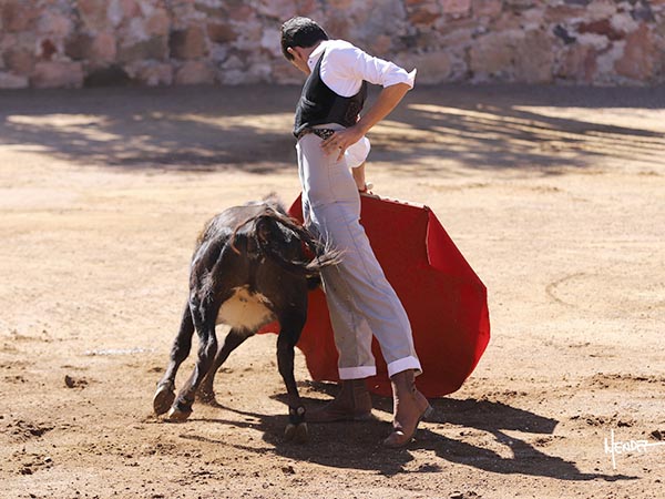 Cargando la suerte