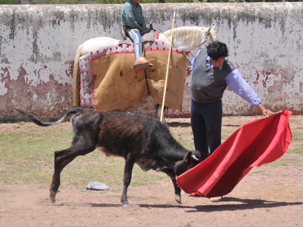 A pesar del viento